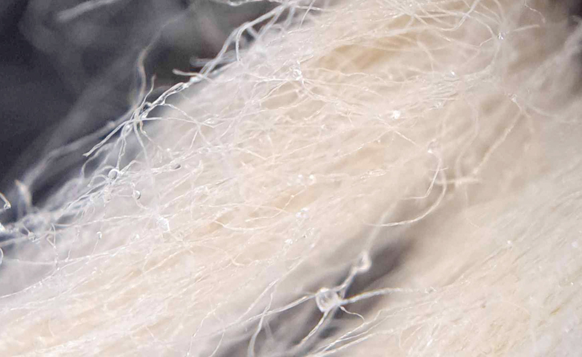 Baumwollfaser Baumwollfaser