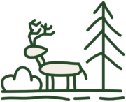 Unsere Buckshülle bietet zuverlässigen Schutz.