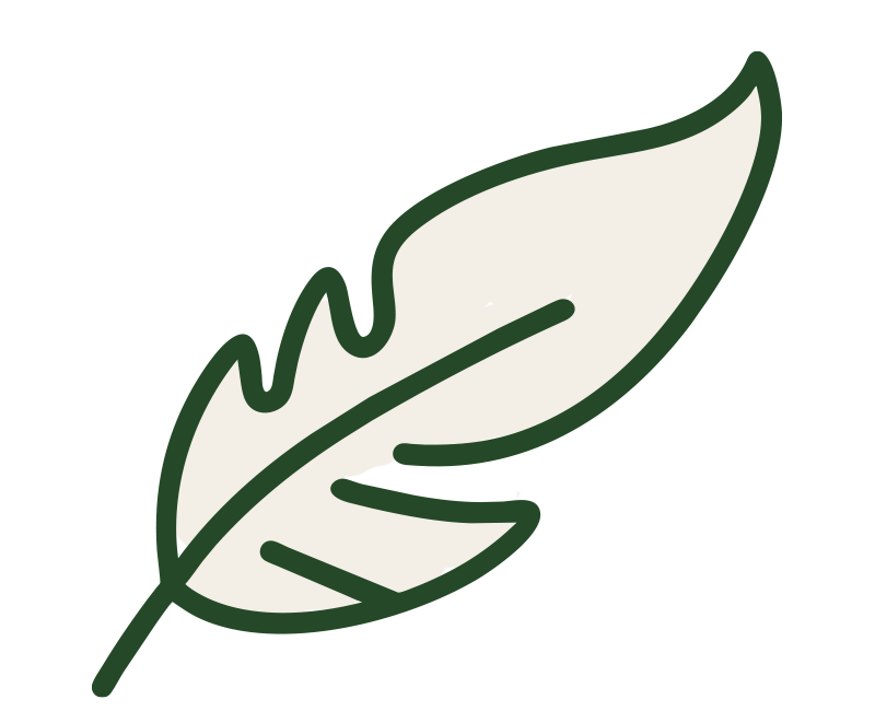 Unsere Buckshülle ist unschlagbar leicht.